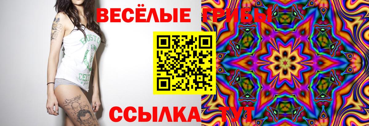 Балтийск  Псилоцибиновые грибы GOLDEN TEACHER  Вход с VPN  Псилоцибиновые грибы мицелий 